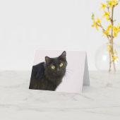 原因空白ののフォーカスによる黒猫カード カード (黄色い花)