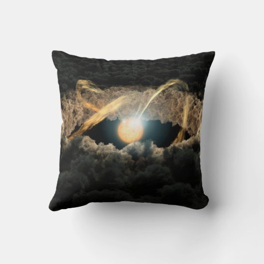 原始惑星系円盤に囲まれた星 クッション (裏面)