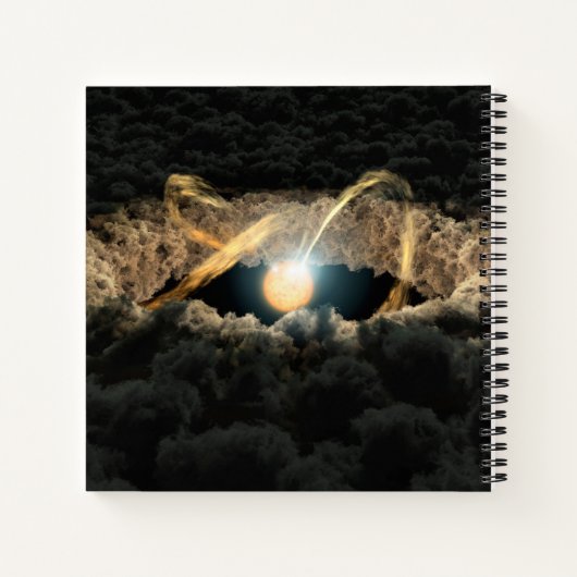 原始惑星系円盤に囲まれた星 ノートブック (裏面)