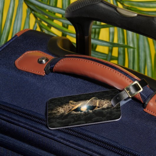 原始惑星系円盤に囲まれた星 ラゲッジタグ (正面インサイチュ3)