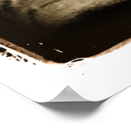 原子小脳：野良 ポスター (角)