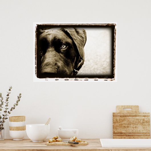 原子小脳：野良 ポスター (キッチン)