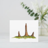 原形菌類葉書 ポストカード (スタンド正面)