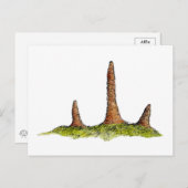 原形菌類葉書 ポストカード (正面/裏面)