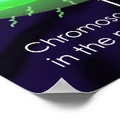 原核細胞図 ポスター (角)