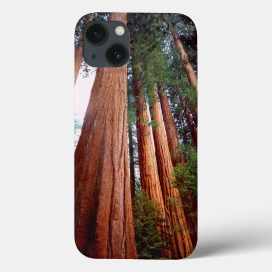 原生のセコイア・レッドウッドの木々 Case-Mate iPhoneケース (裏面)
