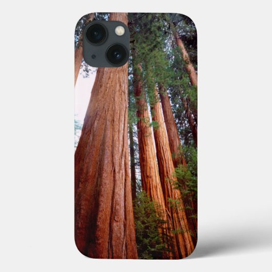 原生のセコイア・レッドウッドの木々 Case-Mate iPhoneケース (裏面)