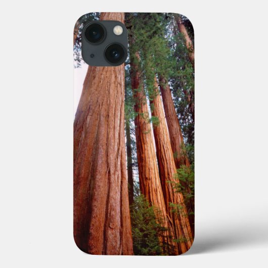 原生のセコイア・レッドウッドの木 Case-Mate iPhoneケース (裏面)