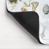 原生動物門および腔腸動物門 マウスパッド (コーナー)