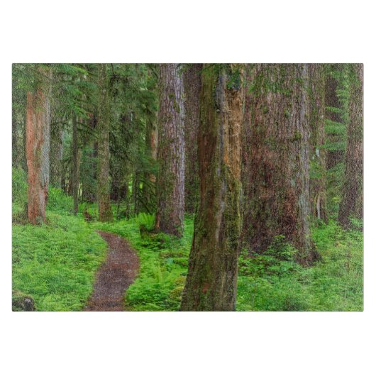 原生林の風景 カッティングボード (正面)