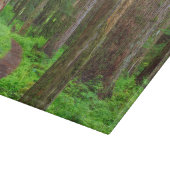 原生林の風景 カッティングボード (角)