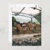 原生 ポストカード (正面/裏面)