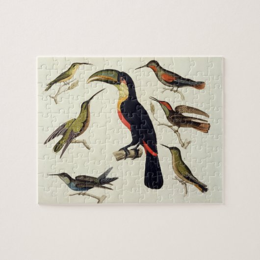 原産の鳥、Toucan (中心)を含む、Amazo ジグソーパズル (横)