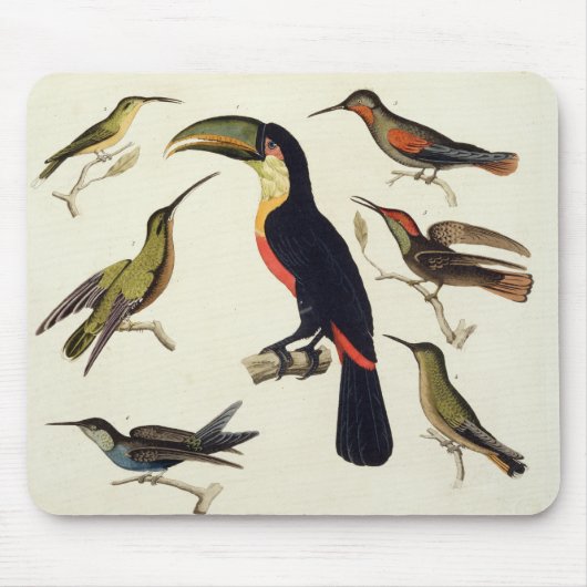原産の鳥、Toucan (中心)を含む、Amazo マウスパッド (正面)