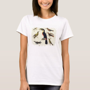 原産の鳥、Toucan (中心)を含む、Amazo Tシャツ
