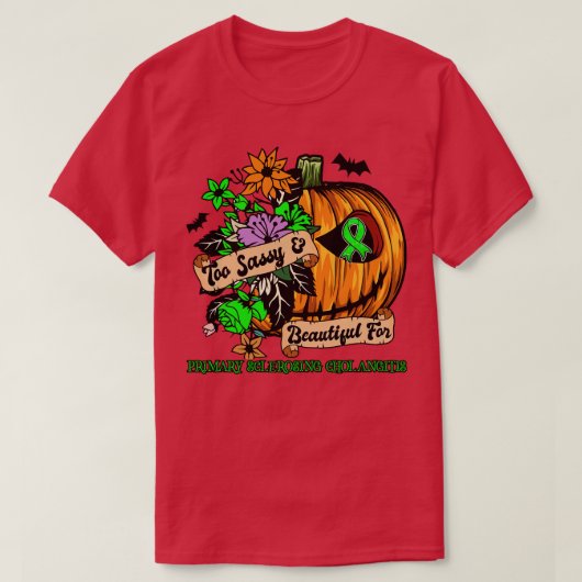 原発性硬化胆管炎認識度レトロハル Tシャツ (デザイン正面)