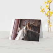 厩の馬たち、誕生日 カード (黄色い花)