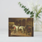 厩舎で ポストカード (スタンド正面)