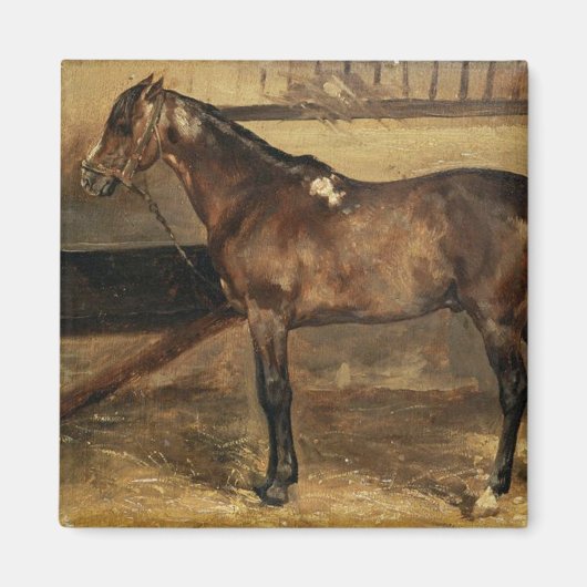 厩舎に残る茶色の馬 マグネット (正面)