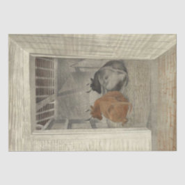 厩舎に2頭の牛（Eric Ravilious著） 薄葉紙