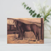 厩舎の赤みを帯びた馬馬 カード (スタンド正面)