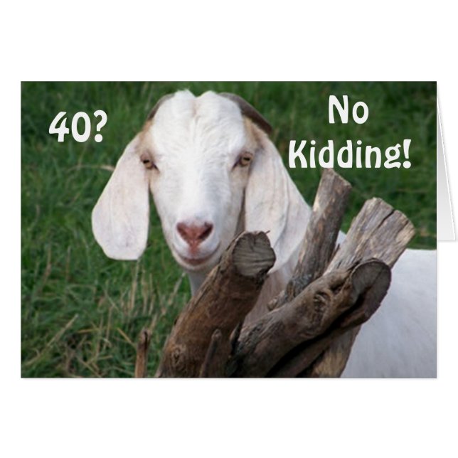 厳しい時々 – =冗談じゃない"40th" (正面横)