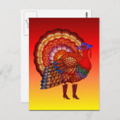 厳しい老鳥 ポストカード (正面/裏面)