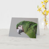 厳しいMacawグリーティングカード カード (黄色い花)