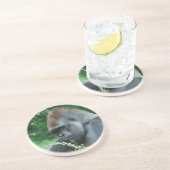 厳格なゴリラ コースター (側面)