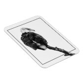 厳粛なハゲワシ マグネット (右側)