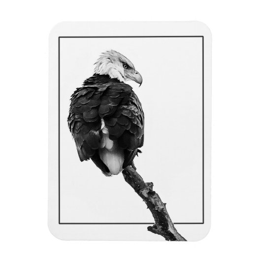 厳粛なハゲワシ マグネット (縦)