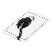 厳粛なハゲワシ マグネット (左側)