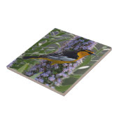 去勢牛のオリオールズ タイル (側面)