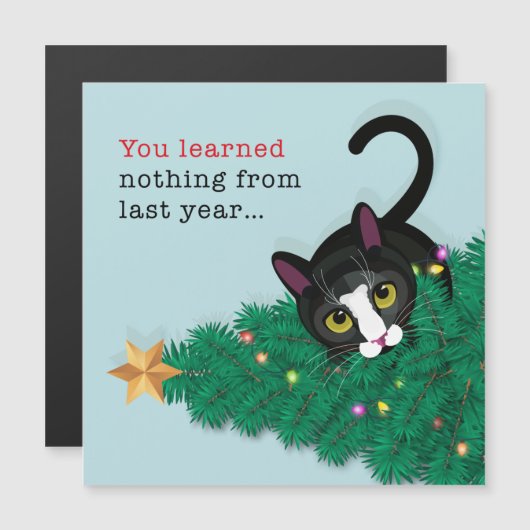 去年学は何も!! (正面/裏面)