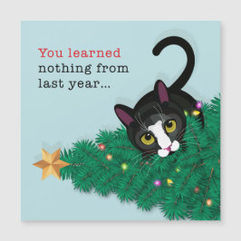 去年学は何も!!