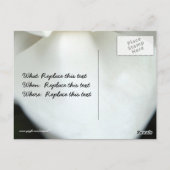 参加 ポストカード (裏面)