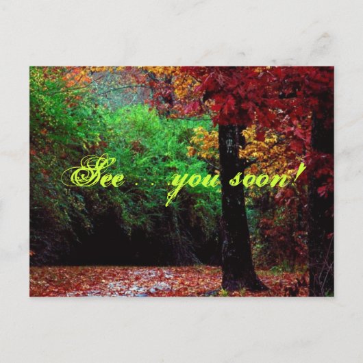 参照…早く！森はがき ポストカード (正面)