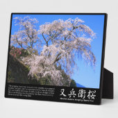 又兵衛桜のフォトプラーク フォトプラーク (側面)