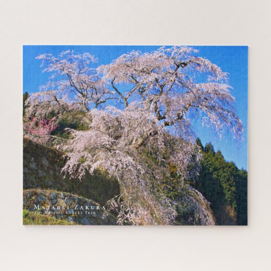 又兵衛桜：しだれさくらんぼ木 ジグソーパズル (横)