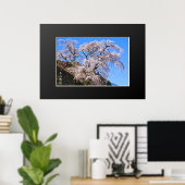 又兵衛桜:しだれさくらんぼ木 ポスター (ホームオフィス)