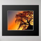 又兵衛桜:しだれさくらんぼ木 ポスター (正面)