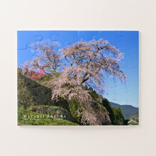 又兵衛桜: 枝垂れ桜 ジグソーパズル (横)