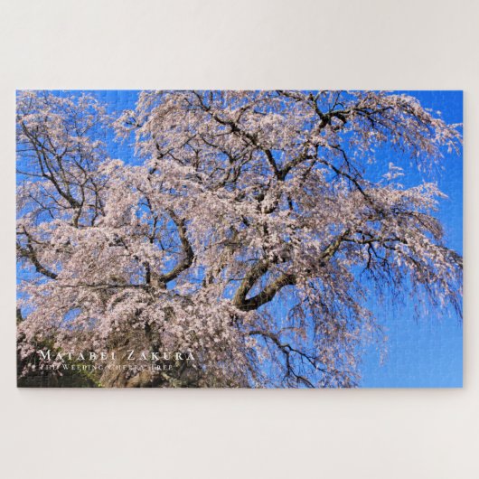 又兵衛桜: 枝垂れ桜 ジグソーパズル (横)