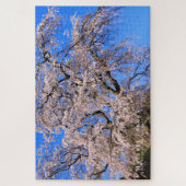又兵衛桜: 枝垂れ桜 ジグソーパズル (縦)