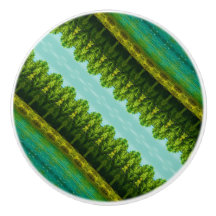 及はっきりしたび鮮やか