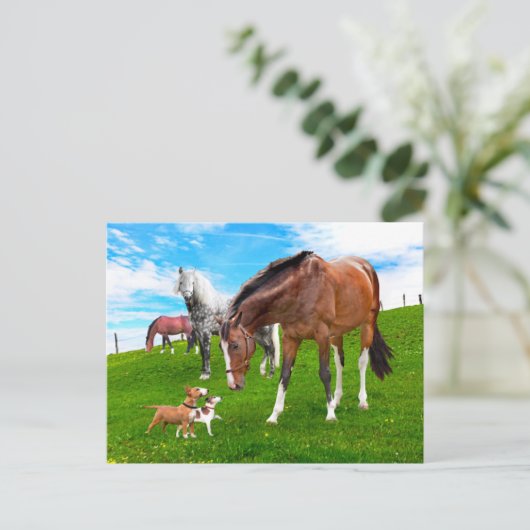 「友だちをつくる」 ポストカード (スタンド正面)