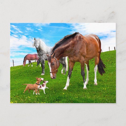 「友だちをつくる」 ポストカード (正面)