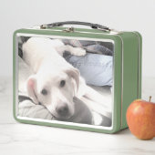 友だちグリーンと最高のかわいい犬の写真 メタルランチボックス (インサイチュ)