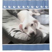 友だちブルーの隣に座るかわいい最高の犬の写真 シャワーカーテン (正面)