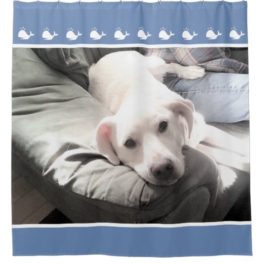 友だちブルーの隣に座るかわいい最高の犬の写真 シャワーカーテン (正面)